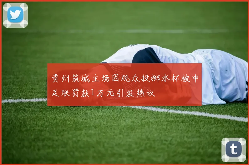 贵州筑城主场因观众投掷水杯被中足联罚款1万元引发热议