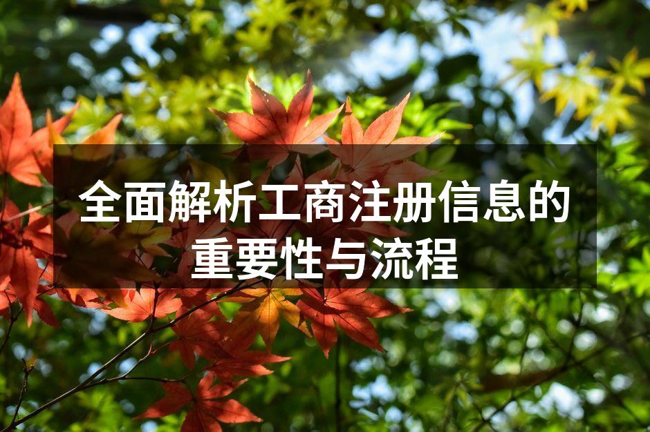 工商注册流程示意图