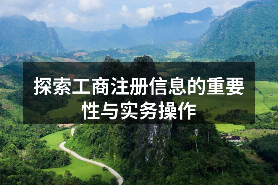 工商注册流程示意图