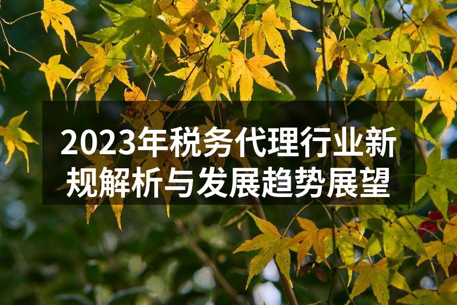 税务代理行业新规解读